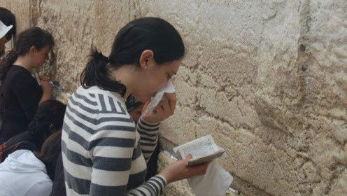 娱乐吃瓜君17,揭秘娱乐圈最新热点事件